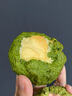 妙可蓝多马斯卡彭500g 原制 动物奶油奶酪芝士 提拉米苏/西点 烘焙原料 实拍图