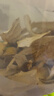 【京东快递】松茸 云南雪山干货 野外生长 新鲜精选干片 松茸干片250g 实拍图