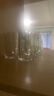 青苹果白酒杯二两分酒器套装一口杯 小酒杯16件套家用饭店用年货春节 实拍图