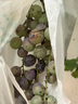 葡萄套袋葡萄专用套袋育果袋纸袋葡萄袋子防水防菌葡萄袋防虫袋 24*34厘米套3斤内葡萄【100个】 实拍图