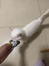 希宝（Sheba）小魔勺幼年期成年期猫宠物零食含香嫩鸡肉鲣鱼巴丁鱼配方10g*32勺 实拍图