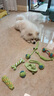 HELLOJOY狗狗玩具 耐咬磨牙棉绳球套装宠物幼犬小狗玩具自己玩解闷9件套 实拍图