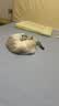 盒边猫咪零食 猫条整箱妙鲜湿粮包成猫幼猫营养小鱼干猫罐头 猫条100支+元气煲10袋 实拍图