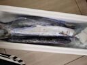 尚致 青岛大鲅鱼鲜活海捕冷冻海鱼马鲛鱼大鲅鱼马鲛鱼整条 海鲜水产 1斤3条【青岛鲅鱼】净重 实拍图
