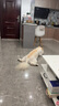 凯锐思 萨摩耶狗粮 幼犬成犬专用萨摩犬粮专用粮配方粮 【平价首选】4斤*10袋（共40斤） 实拍图