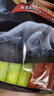 进口猫零食成猫猫条吞拿鱼 海陆 三文鱼 扇贝12g*120 实拍图