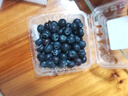 陇百味云南蓝莓高山脆甜花香蓝莓鲜果 新鲜现摘应季热带时令水果 当季现摘4盒实惠装 每盒净重100g 精选特大果 单果18-20mm 实拍图