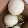 果香浓郁正宗新鲜海南网纹蜜瓜当季新鲜水果坏果包赔 中小果（单果≥500g）4斤净重1800g 实拍图