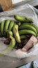 谷真云南高山香蕉 10斤新鲜薄皮现砍现发整箱批发正宗当季大香蕉 大香蕉 2.5kg 特级蕉 实拍图