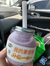 Jordan婴幼儿童牙刷宝宝软毛0-1-2-3岁以下口腔清洁咬胶2支装 山姆同款 实拍图