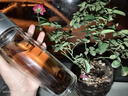 茶人岭茶叶普洱茶勐海熟普洱散茶200g罐装普洱熟茶 实拍图