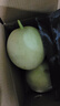涵果上海南汇玉菇甜瓜品种新鲜10斤青皮绿宝石蜜香瓜时令应当季水果 净果8.5-9斤【单果700g+】 实拍图