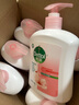 滴露（Dettol）洗手液滋润500g*6 抑菌洗手液家庭装大桶儿童消毒无酒精温和护手 实拍图