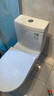 箭牌（ARROW）马桶家用直冲式坐便器大冲力座便坐厕1级水效AEB12601-1M 305坑距 实拍图
