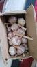 【百万单爆品】紫白皮蒜水果大蒜超市生鲜蔬菜调料即食蒜 【优选】 1斤 单果3.5-5cm 实拍图