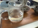 京东京造玻璃飘逸壶适用电陶炉茶具煮茶闷茶泡茶壶茶水分离烧水壶650ml 实拍图