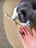 憨憨乐园木天蓼猫咪磨牙棒猫玩具自嗨解闷逗猫棒耐咬幼猫用品玩具养猫神器 实拍图