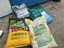漫生活650g*3块椰糠砖椰砖椰土砖营养土通用种菜养花土壤花卉绿植脱盐 实拍图