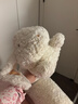 野兽派家居（tbh）月宫折桂月兔长条抱枕女生睡觉玩偶毛绒玩具兔年本命年礼物 月宫折桂 月兔长条抱枕 实拍图