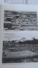 中国的奋斗1600-2000 徐中约著 国家图书馆文津奖获奖图书 400年来中华民族的积极求索与努力抗争 后浪大学堂 中国近代史 五四运动史 实拍图
