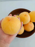 山东青州蜜桃新鲜桃子毛桃甜桃青桃硬桃孕妇脆甜应季水果冬雪 精选5斤【单果100g+】净重4.5斤 实拍图