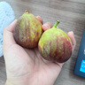 京鲜生 糖包子无花果 3盒*300g 净重900g装 生鲜水果 实拍图