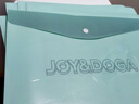 JOY&DOGA JOY&DOGA 潮流系列薄荷绿潮酷 按扣文件袋  5个/袋  235mm*335mm 实拍图