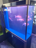 森森（SUNSUN）鱼缸水族箱客厅免换水风水家用金鱼缸 1.0米长屏风款 35cm宽时尚底滤(黑白灰可选) 实拍图