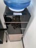 奥克斯（AUX） 饮水机家用立式办公双开门柜式快速加热饮水器 旗舰款【轻奢黑金温热】 温热型 实拍图