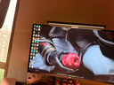 泰坦军团 31.5英寸大屏 2304分区 MiniLED 4K 160Hz 双模320Hz DyDs技术 广色域专业电竞显示器 P326MV MAX 实拍图