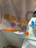 龙大肉食 带皮猪五花肉块2斤 冷冻五花酱卤肉烧烤 出口日本级 红烧肉食材  实拍图