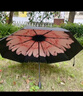 C'mon 防晒太阳伞三折晴雨伞遮阳伞女防紫外线upf50+ 胭脂粉三折伞 实拍图