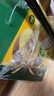 佳沛（zespri）新西兰 阳光金奇异果12粒礼盒特大果单果约122-146g 猕猴桃 水果 实拍图