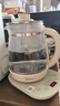 美的（Midea）养生壶 316L母婴材质全自动煮茶壶花茶壶 1.5L烧水壶 12h恒温 11档控温煮茶器电热水壶YSNC1501Pro 实拍图