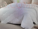 雅芳婷夏被被芯四季通用连芯被轻盈夏被被子被芯 L002T连芯夏被 1.2米适用(152*229cm) 实拍图