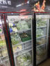 新飞（frestec）展示柜冷藏保鲜柜酒水饮料冰柜双开门冷藏柜酒店冷藏保鲜柜超市直冷玻璃门风冷无霜冰箱立式冷柜 大三门黑红上机1300L【4D风冷无霜】1.8米 实拍图