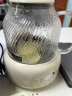 北欧沃朗养生壶0胶水全玻璃恒温壶电陶炉办公室煮茶壶1.2L家用花茶壶炖煮壶一体电热水壶国家补贴-标准款 实拍图
