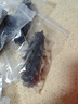 海参自封包装袋单个装冷冻密封袋食品级保鲜分装袋独立袋子 海参自封袋100个 【大号9*18cm】 实拍图