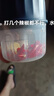 绞肉机小型打蒜器家用绞蒜切蒜器多功能辅食料理机电动蒜泥神器蒜蓉机自动切菜机压蒜器 蓝色-升级大电机 0.26L 实拍图