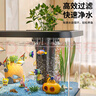 阔庭（KUOTING）鱼缸水族箱生态桌面鱼缸新款懒人鱼缸过滤制氧一体机黑色【大号】 实拍图