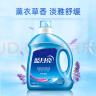 蓝月亮洗衣液12斤套装：亮白增艳薰衣草3kg瓶+1kg袋*3 实拍图