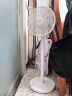 长虹（CHANGHONG）电风扇/落地扇家用/交流定频风扇/台地两用扇/桌面风扇/台扇摇头电扇空气循环风扇 CFS-LD2507 实拍图