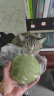 欢宠网 猫玩具猫咪猫薄荷球猫磨牙棒逗猫棒自嗨神器解闷木天蓼猫草粉猫零食蹭痒耐啃咬猫猫小猫幼猫宠物用品 实拍图