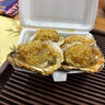 香辣鱿鱼仔满仔小包装烧烤味香辣味带籽炭烧即时小吃 【混合味】20g*10包 实拍图