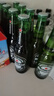 喜力经典330ml*9瓶礼盒装（内含玻璃杯2个）喜力啤酒Heineken 实拍图