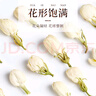 福东海 茉莉花120克  (当季新鲜头采)横县三伏 花草茶泡水喝养生茶饮 实拍图