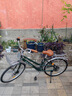 兰令自行车成年人通勤铝合金女士亲子带小孩城市上班代步变速单车 花语-祖母绿【升级弯把+加厚座垫】 26英寸 禧玛诺7速 实拍图