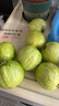 京鲜生树熟软糯奶油芭乐 净重5斤装单果150g+ 番石榴 源头直发包邮 实拍图