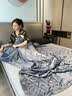 露茜蚕丝被夏季空调被100%桑蚕丝亲肤母婴可用水洗夏凉被 奥斯陆极光蚕丝被【极境蓝】 200cm*230cm(净重5斤) 实拍图