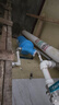 滨特尔（pentair）大白瓶前置过滤器 全屋家用自来水过滤器 前置净水器大蓝瓶 中央净水机大流量大胖瓶高精度 【10寸大蓝瓶】包安装 实拍图